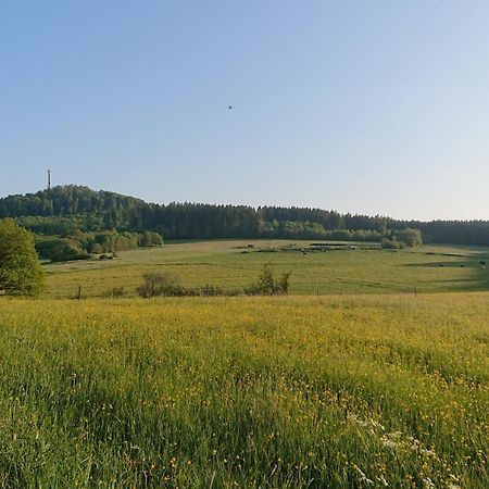 Ferienwohnung Am Hochkelberg Bereborn Zewnętrze zdjęcie