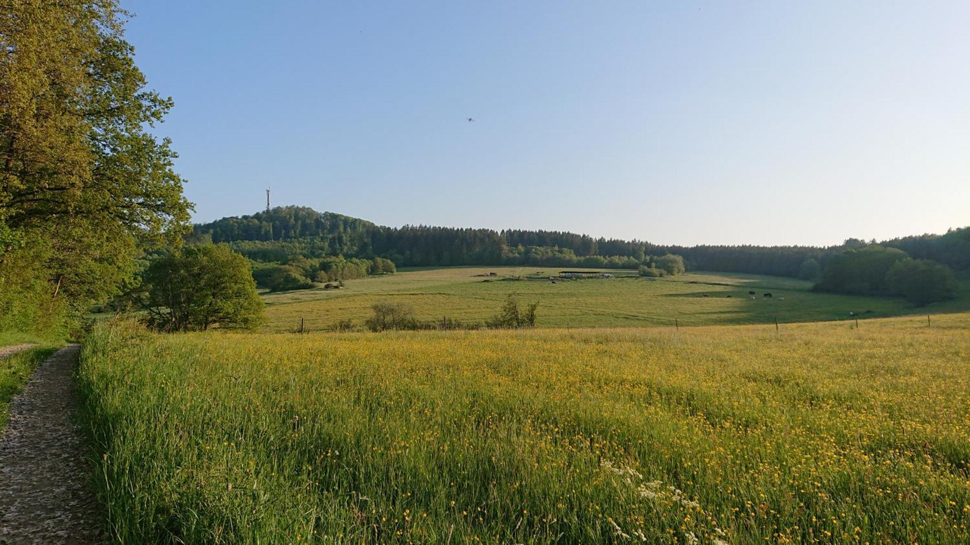Ferienwohnung Am Hochkelberg Bereborn Zewnętrze zdjęcie